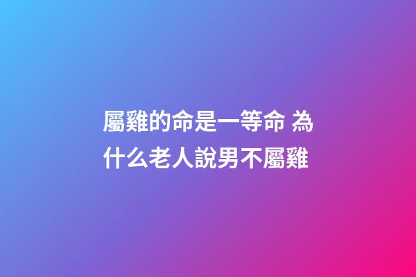 屬雞的命是一等命 為什么老人說男不屬雞